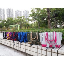 Pet Access撞色厚墊帶網料手挽背包大碼